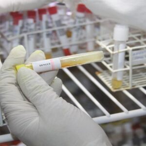 Curso de Introdução ao Diagnóstico de vírus