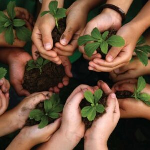 Curso de Introdução ao Licenciamento Ambiental