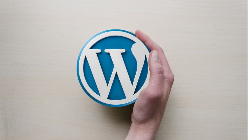 Curso de WordPress: Plugins